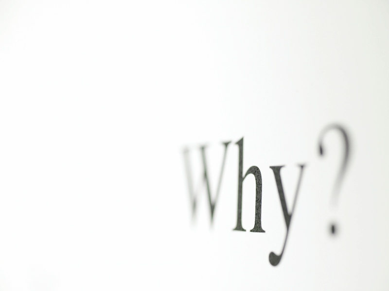 a picture of the word why?